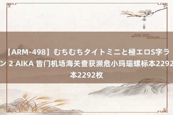 【ARM-498】むちむちタイトミニと極エロS字ライン 2 AIKA 皆门机场海关查获濒危小玛瑙螺标本2292枚