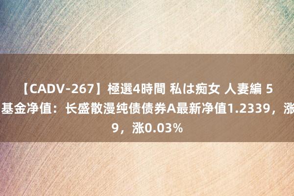 【CADV-267】極選4時間 私は痴女 人妻編 5 8月2日基金净值：长盛散漫纯债债券A最新净值1.2339，涨0.03%