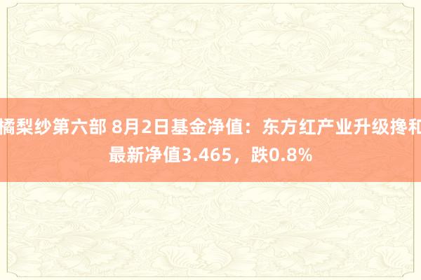 橘梨纱第六部 8月2日基金净值：东方红产业升级搀和最新净值3.465，跌0.8%