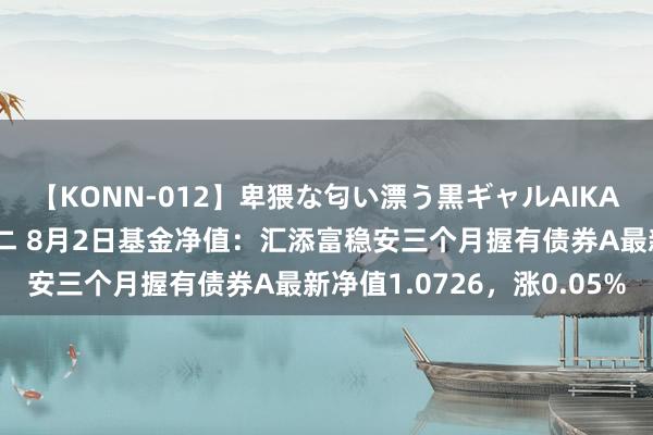 【KONN-012】卑猥な匂い漂う黒ギャルAIKAの中出しグイ込みビキニ 8月2日基金净值：汇添富稳安三个月握有债券A最新净值1.0726，涨0.05%