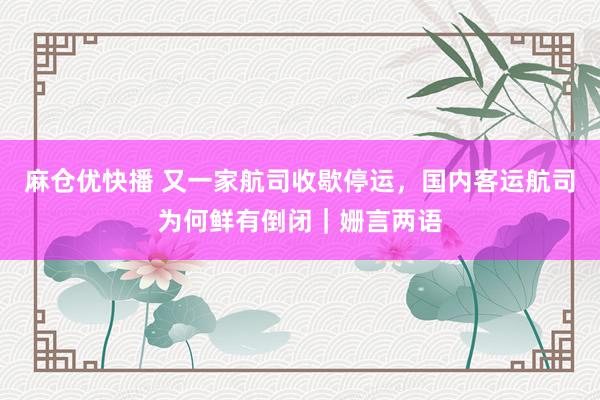 麻仓优快播 又一家航司收歇停运，国内客运航司为何鲜有倒闭｜姗言两语