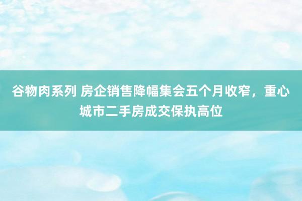 谷物肉系列 房企销售降幅集会五个月收窄，重心城市二手房成交保执高位