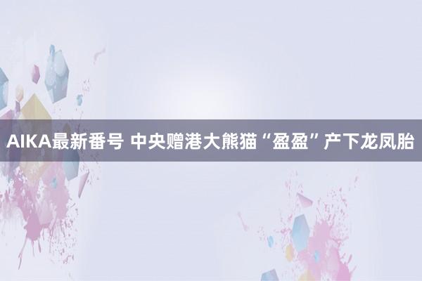 AIKA最新番号 中央赠港大熊猫“盈盈”产下龙凤胎