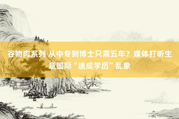 谷物肉系列 从中专到博士只需五年？媒体打听生意国际“速成学历”乱象