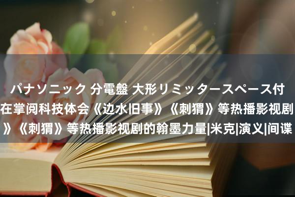 パナソニック 分電盤 大形リミッタースペース付 露出・半埋込両用形 在掌阅科技体会《边水旧事》《刺猬》等热播影视剧的翰墨力量|米克|演义|间谍