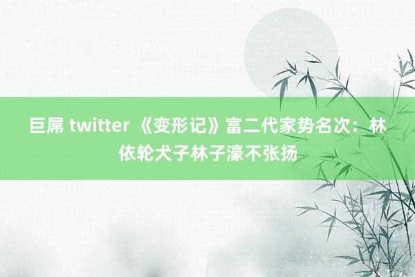 巨屌 twitter 《变形记》富二代家势名次：林依轮犬子林子濠不张扬