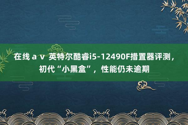 在线ａｖ 英特尔酷睿i5-12490F措置器评测，初代“小黑盒”，性能仍未逾期